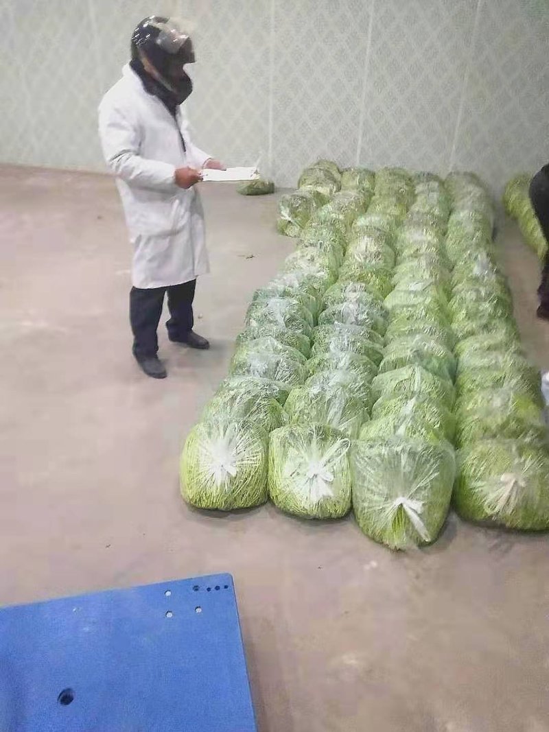 利民芦蒿