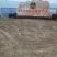 利民芦蒿