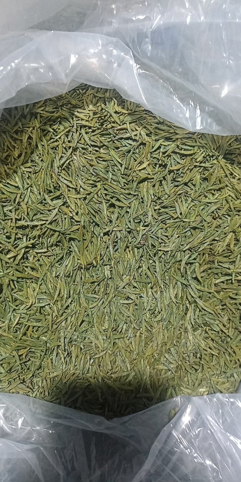 2020新茶高山竹叶青茶自厂自销