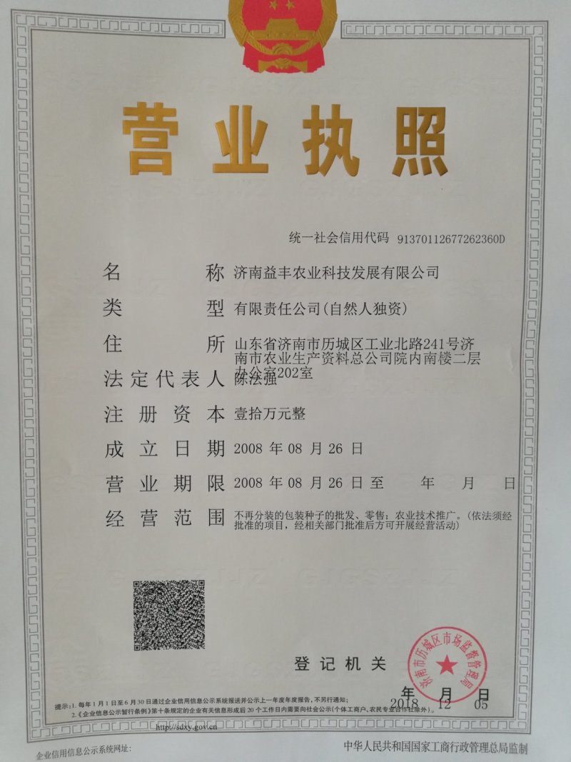 特色花菜～宝塔菜花种子进口优质杂交种子