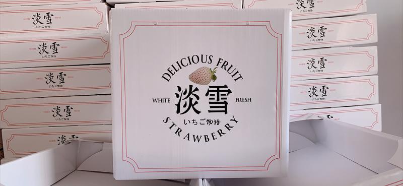 山东烟台日本奈良淡雪白草莓公主白雪小町一件代发顺丰包邮