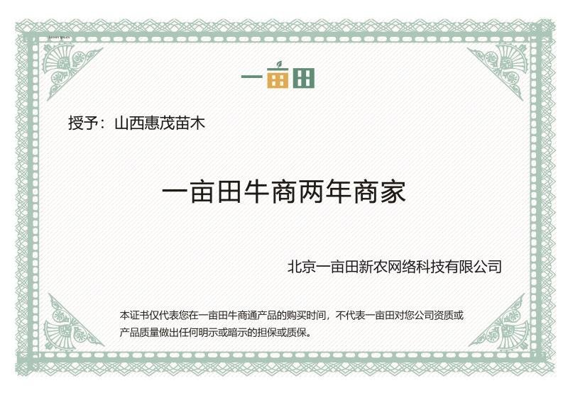有好货=紫叶李3-6公分自家苗圃直销成活率高质量保证