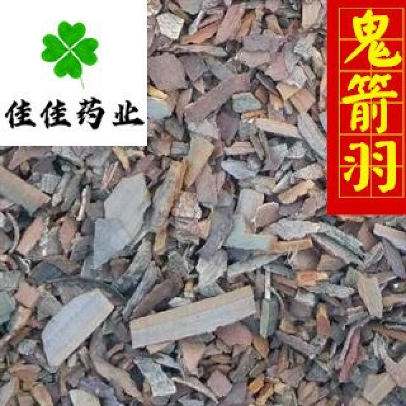 鬼箭羽鬼见羽鳞片好统片实物图供应各种中药材