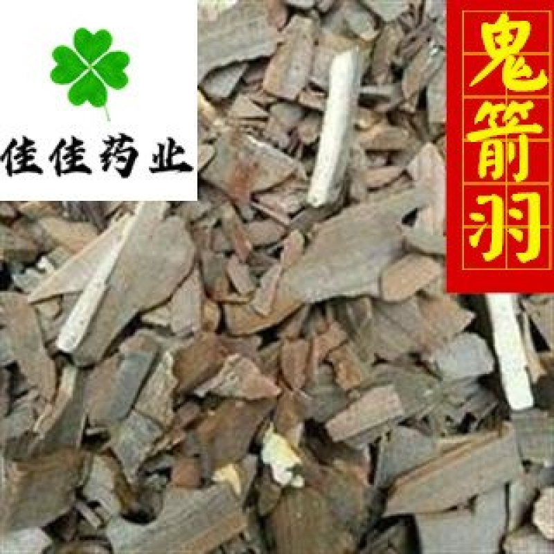 鬼箭羽鬼见羽鳞片好统片实物图供应各种中药材