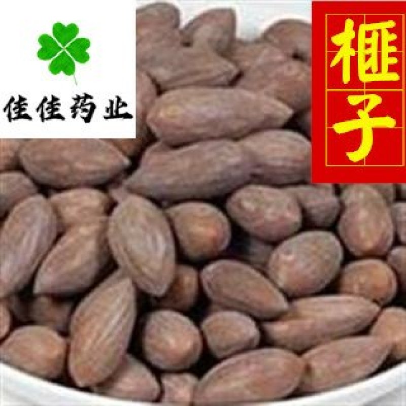 榧子供应榧子选货货干供应各种中药材产地直销