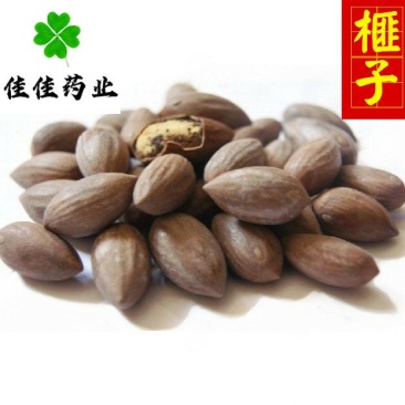 榧子供应榧子选货货干供应各种中药材产地直销