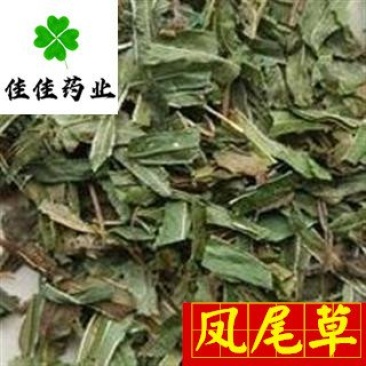 凤尾草颜色好过筛货货干量大从优供应各种中药材