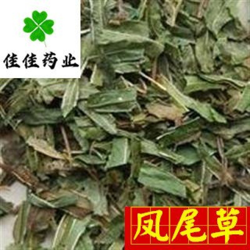 凤尾草颜色好过筛货货干量大从优供应各种中药材