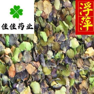 浮萍浮萍草青浮萍青萍统货佳佳药业供应各种中药材