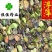 浮萍浮萍草青浮萍青萍统货佳佳药业供应各种中药材