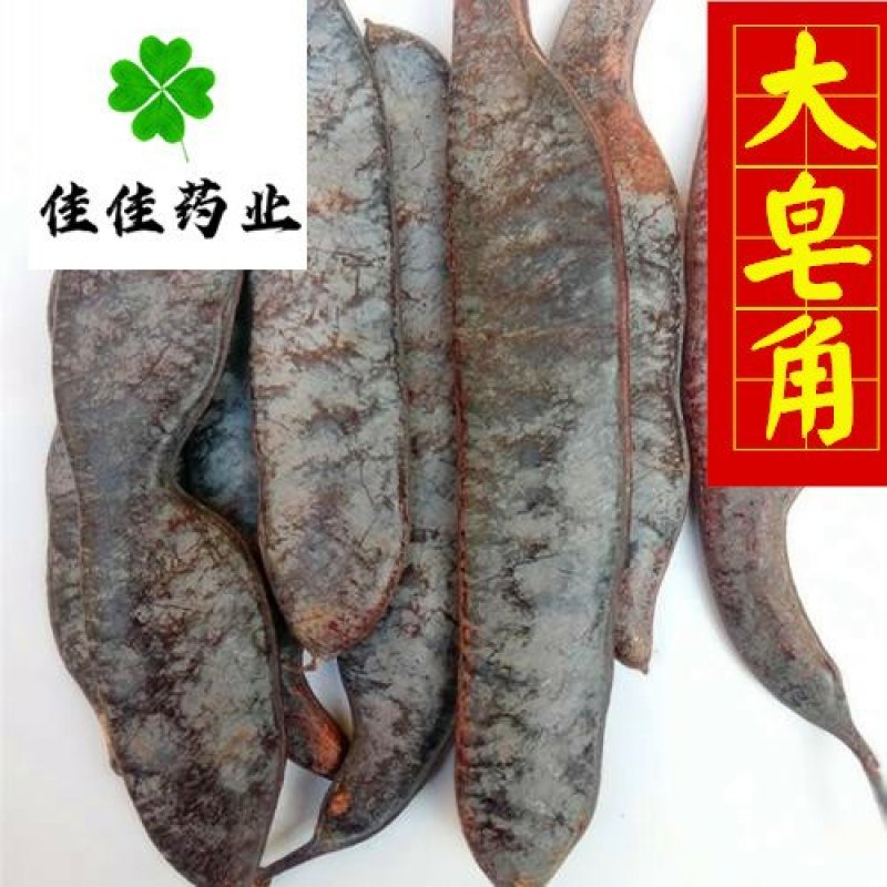 大皂角大皂角片大皂角个实物图供应各种中药材