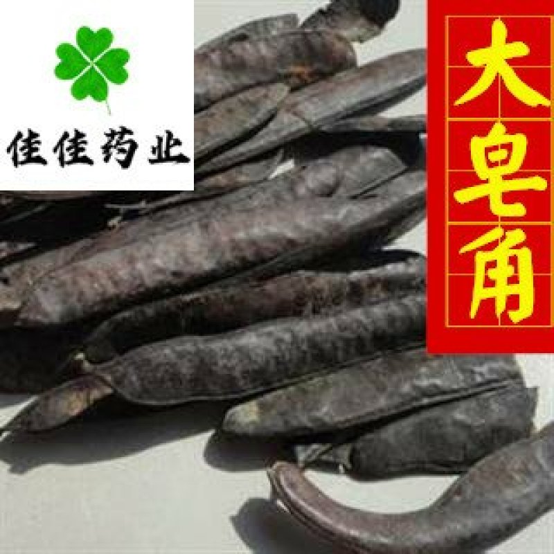 大皂角大皂角片大皂角个实物图供应各种中药材