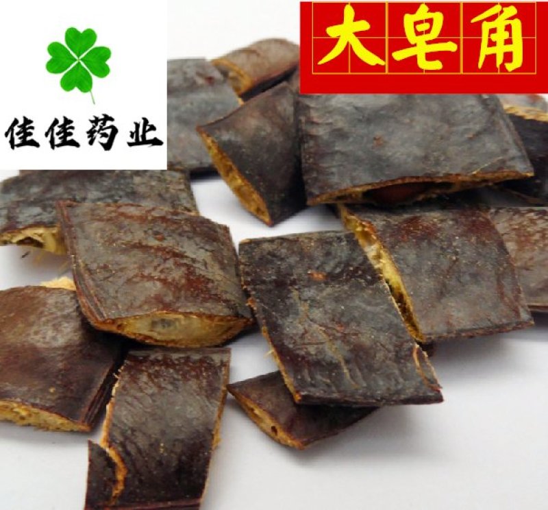 大皂角大皂角片大皂角个实物图供应各种中药材
