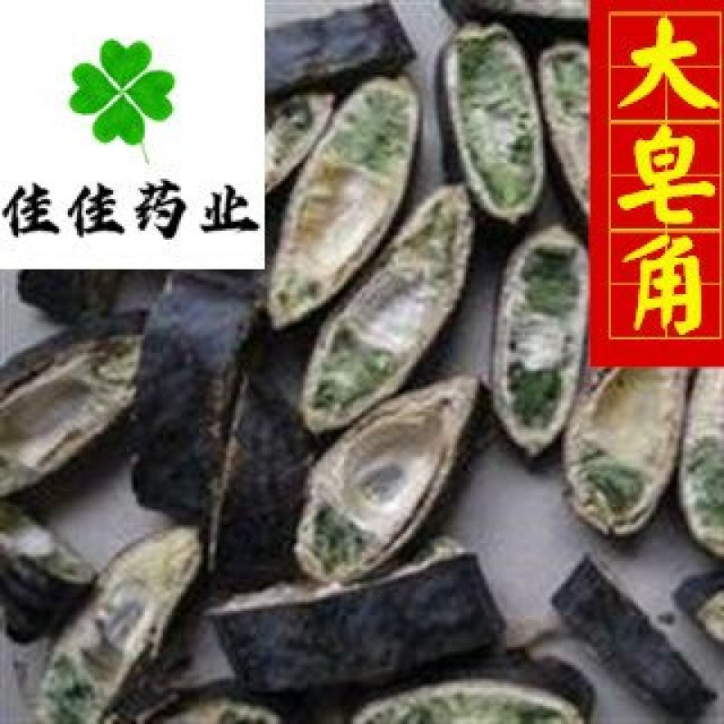 大皂角大皂角片大皂角个实物图供应各种中药材