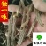 独一味独一味根无硫实物图供应各种中药材