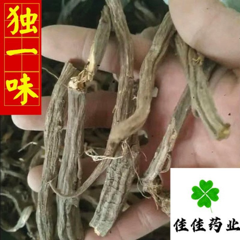 独一味独一味根无硫实物图供应各种中药材