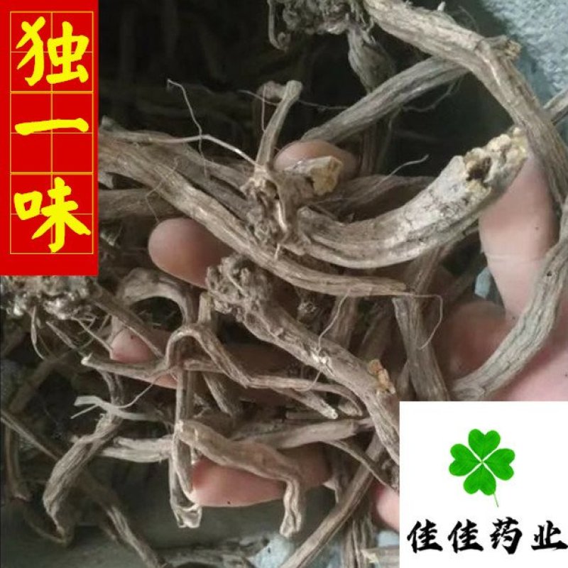 独一味独一味根无硫实物图供应各种中药材
