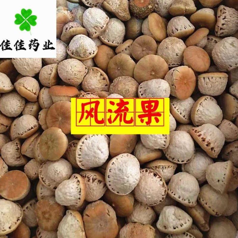风流果选货颜色好货干无硫大货