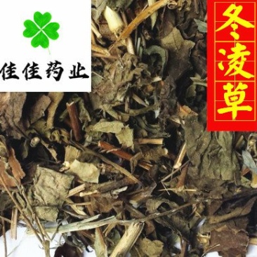 冬凌草统货新货颜色好过筛统货供应各种中药材