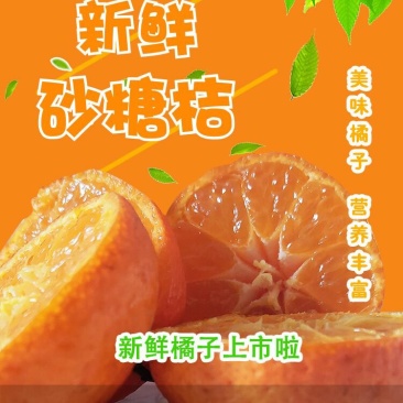 砂糖橘一件净果9.5斤装