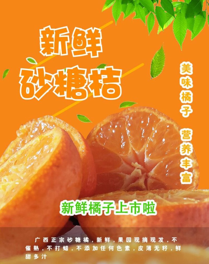 砂糖橘一件净果9.5斤装