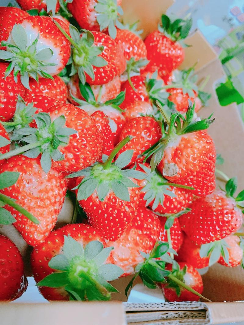 口感好的香野草莓