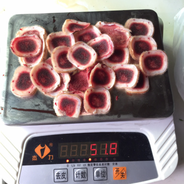 【鹿场直销】纯正鹿茸血茸含血量充足鹿茸