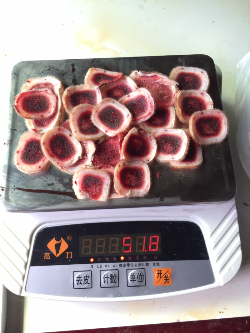 【鹿场直销】纯正鹿茸血茸含血量充足鹿茸