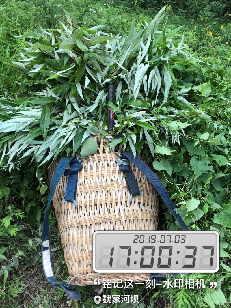 【精品】正宗梅花鹿鹿茸厂地发货一手货源量大从优