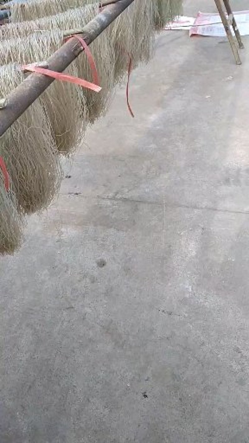 自家手工纯红薯粉条，不添加任何防防腐剂