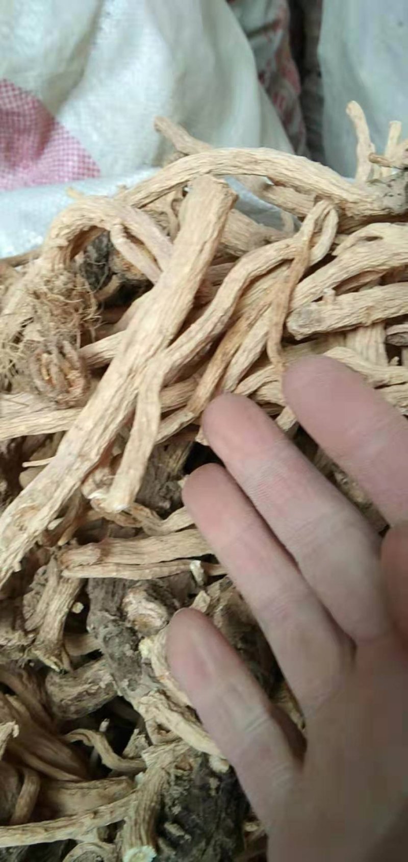 防风