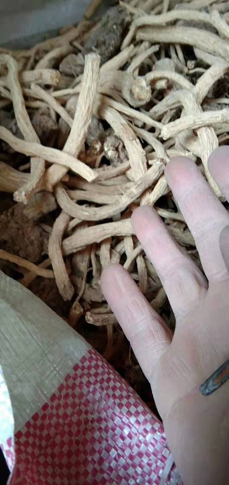 防风