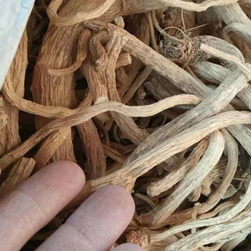 防风