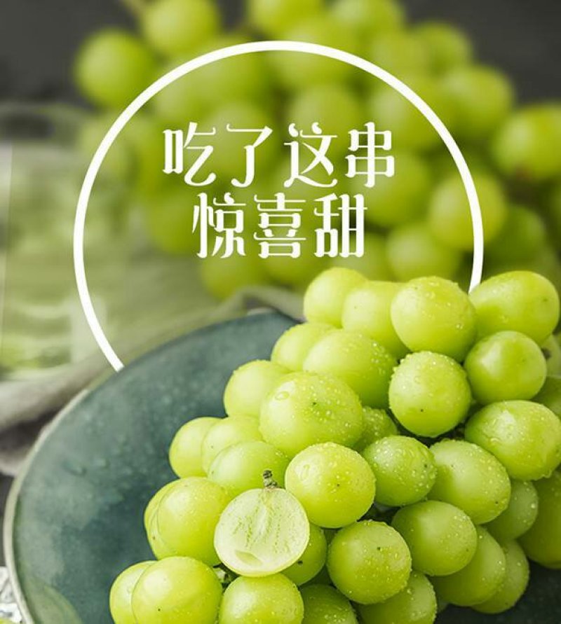 【大荔县阳光玫瑰葡萄】商超品质诚信代办可实地考察