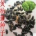林木种子瓜子黄杨种子小叶黄杨种子万年青豆板黄杨