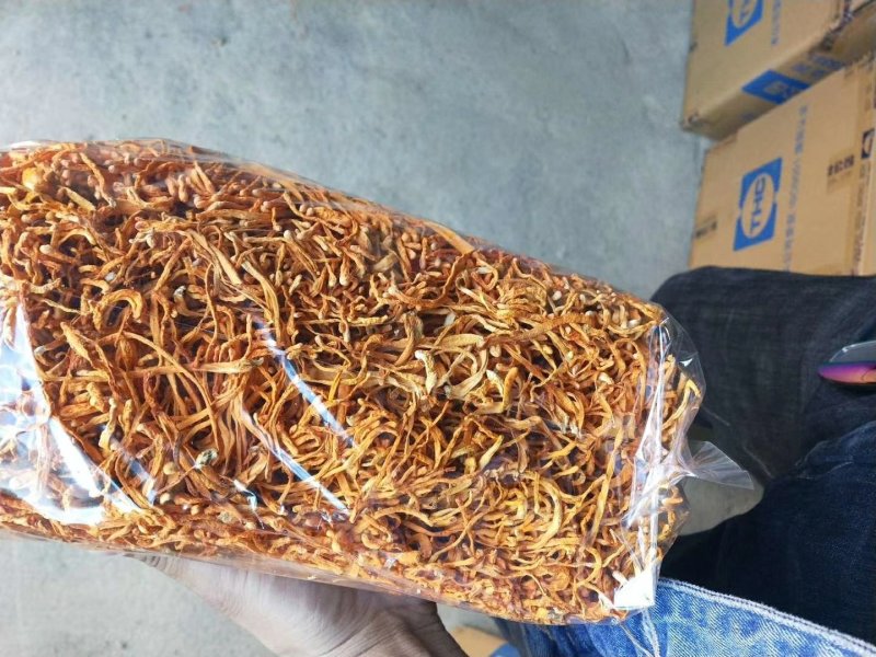 虫草花