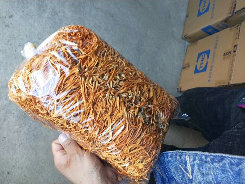 虫草花
