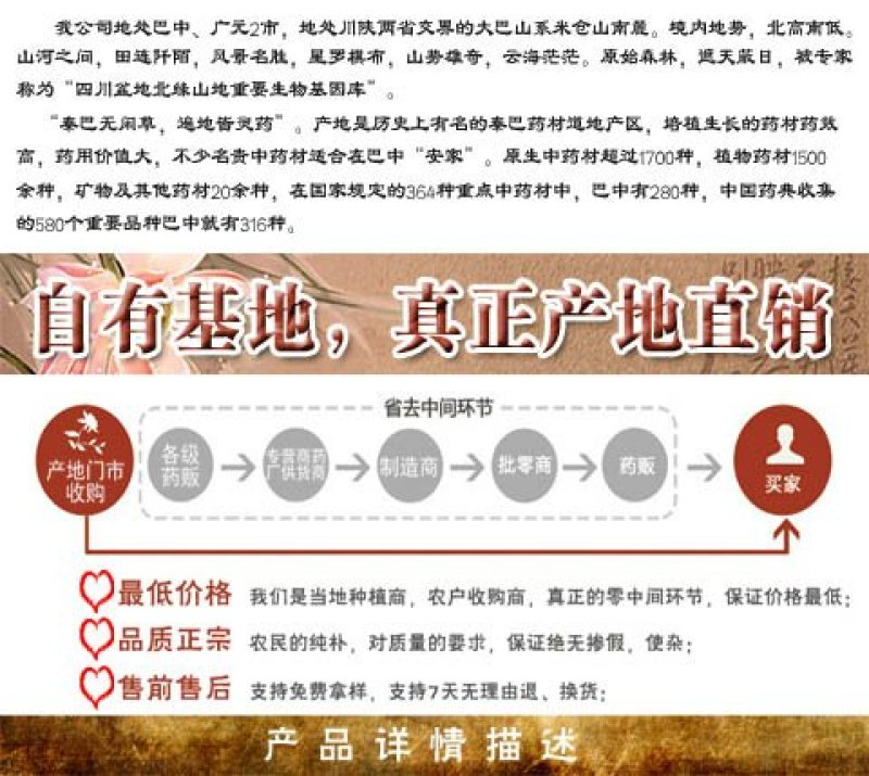 四川无硫山栀子，红栀子，正宗药典品种高含量机器切片