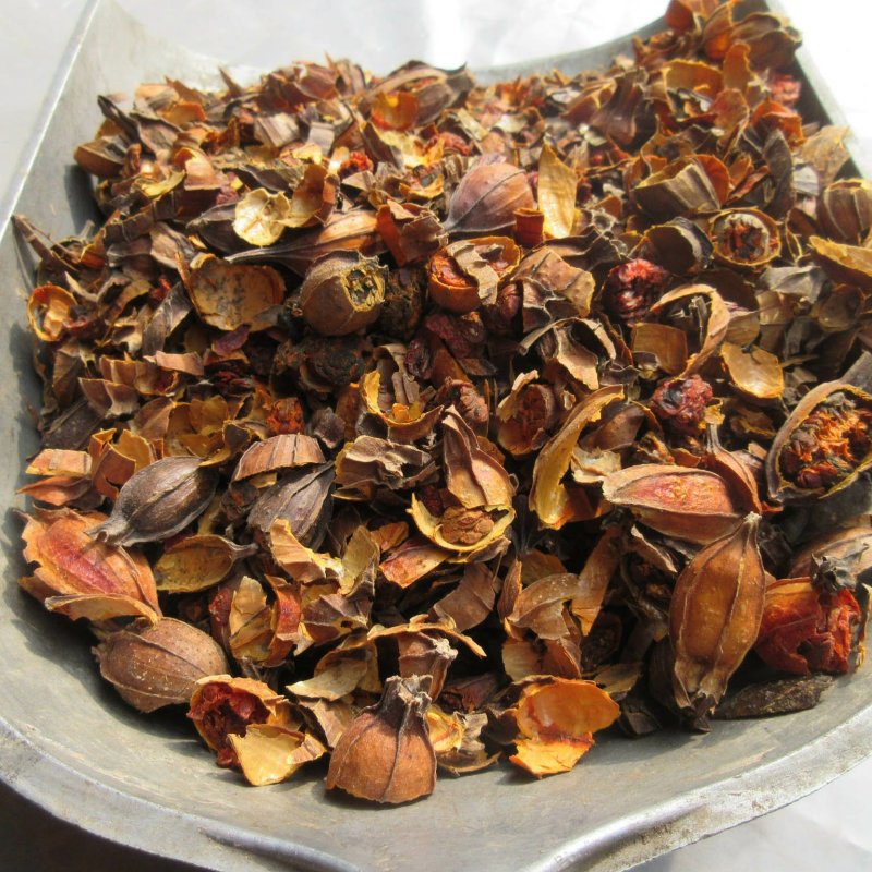 四川无硫山栀子，红栀子，正宗药典品种高含量机器切片