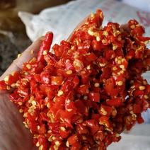 艳红高辣剁椒大量有货辣椒主产地