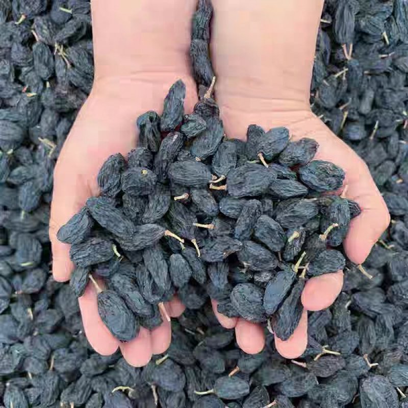 新疆吐鲁番特色大粒子黑加仑葡萄干