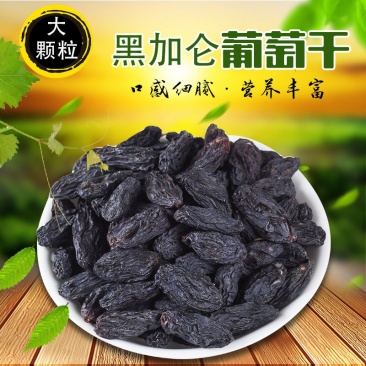 新疆吐鲁番特色大粒子黑加仑葡萄干