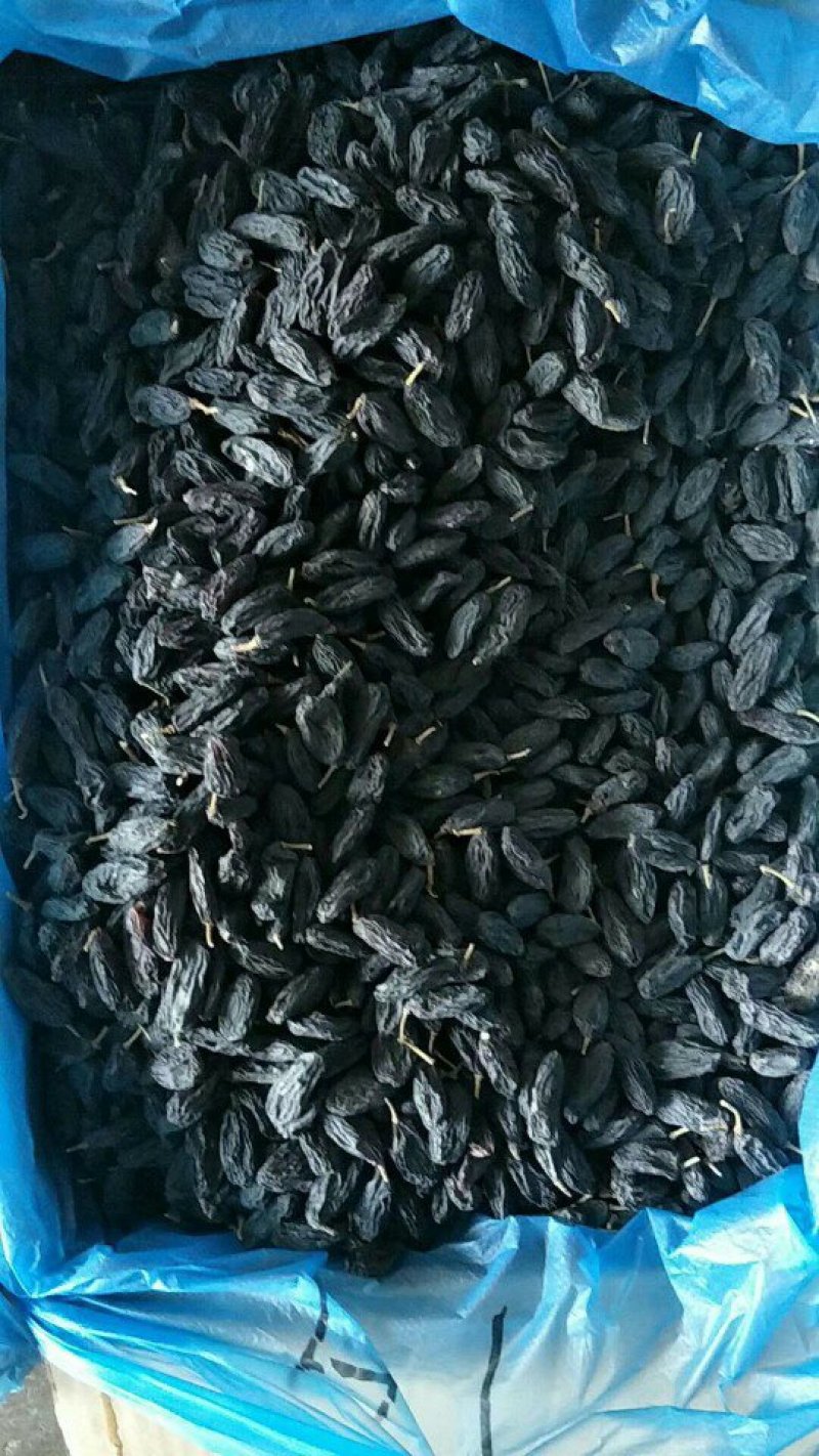新疆吐鲁番特色大粒子黑加仑葡萄干