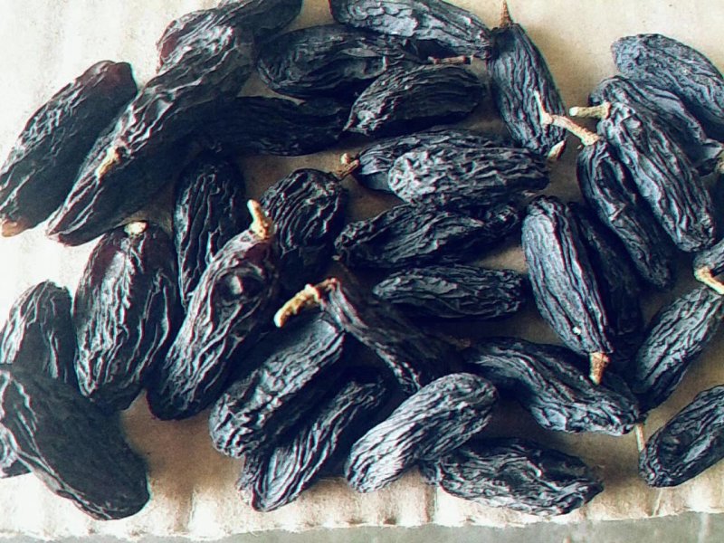 新疆吐鲁番特色大粒子黑加仑葡萄干