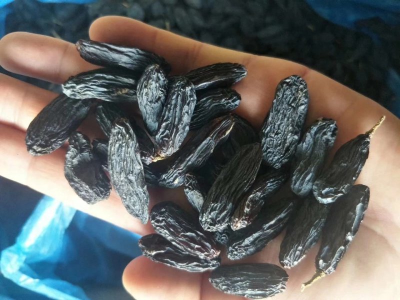 新疆吐鲁番特色大粒子黑加仑葡萄干