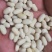 白芸豆可做豆沙，化妆品厂原料，规模种植，全年有货
