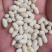 白芸豆可做豆沙，化妆品厂原料，规模种植，全年有货
