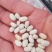 白芸豆可做豆沙，化妆品厂原料，规模种植，全年有货