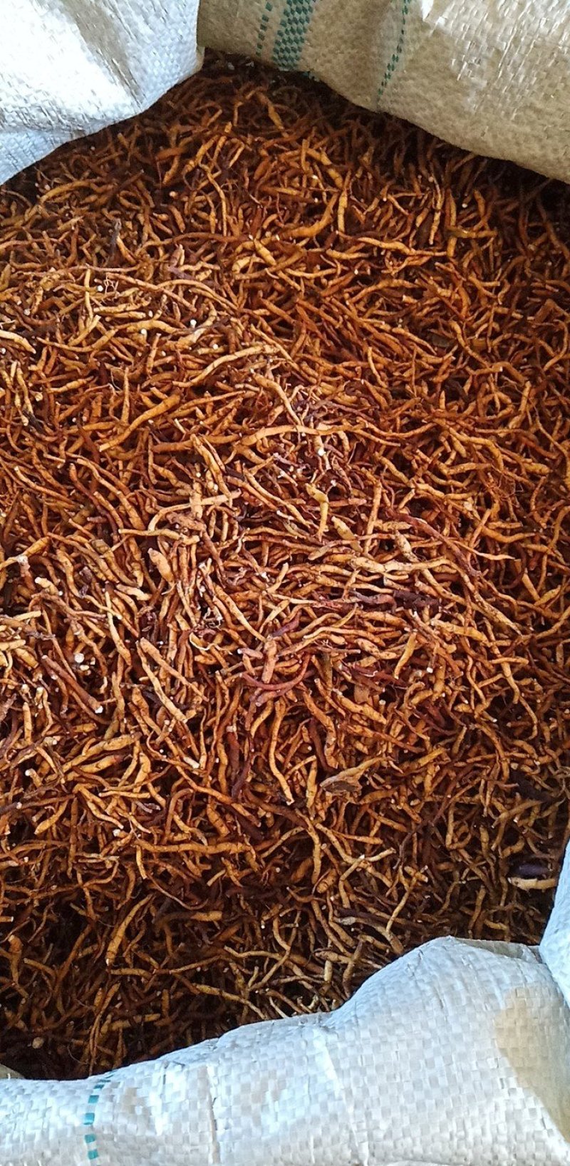 药材小黄根
