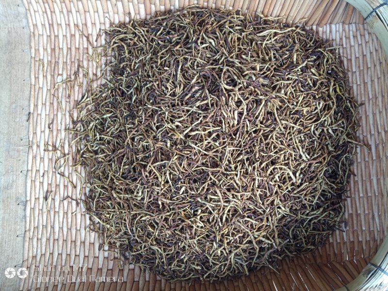 药材小黄根
